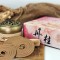 丹桂盘香 | 2小时